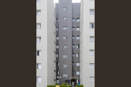 Apartamento para alugar com 56m², 2 quartos e 1 vaga Apartamento para alugar com 56m², 2 quartos e 1 vagaÁrea Comum