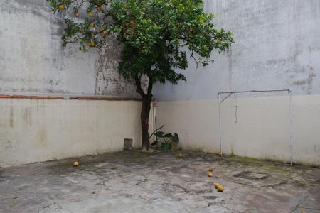 Área externa de casa para alugar com 1 quarto, 150m² em Cidade Satelite Santa Barbara, São Paulo