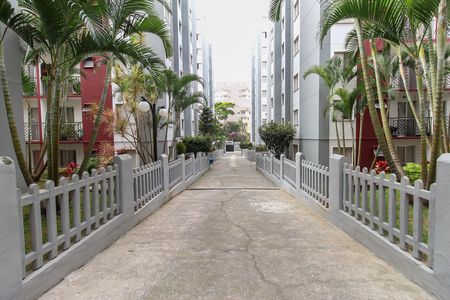 Apartamento para alugar com 48m², 2 quartos e 1 vaga Apartamento para alugar com 48m², 2 quartos e 1 vagaÁrea Comum