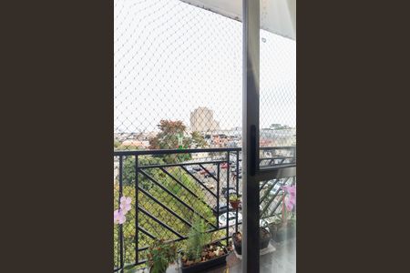 Varanda da Sala de apartamento para alugar com 2 quartos, 48m² em Vila Carmosina, São Paulo