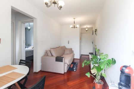 Sala de apartamento para alugar com 2 quartos, 48m² em Vila Carmosina, São Paulo