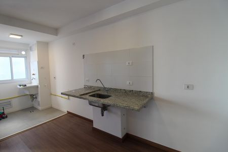 Cozinha de apartamento para alugar com 3 quartos, 68m² em Instituto de Previdencia, São Paulo