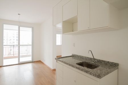 Cozinha de apartamento para alugar com 2 quartos, 49m² em Tatuapé, São Paulo