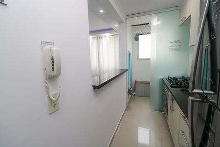 Cozinha de apartamento para alugar com 2 quartos, 50m² em Vila Homero Thon, Santo André