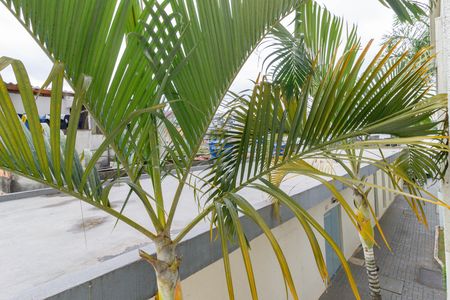 Apartamento para alugar com 49m², 3 quartos e 1 vaga Apartamento para alugar com 49m², 3 quartos e 1 vagaVista Quarto 2