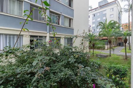 Apartamento para alugar com 49m², 3 quartos e 1 vaga Apartamento para alugar com 49m², 3 quartos e 1 vagaVista Lavanderia
