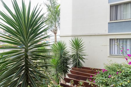 Vista Sala de apartamento para alugar com 3 quartos, 49m² em Vila Miriam, São Paulo
