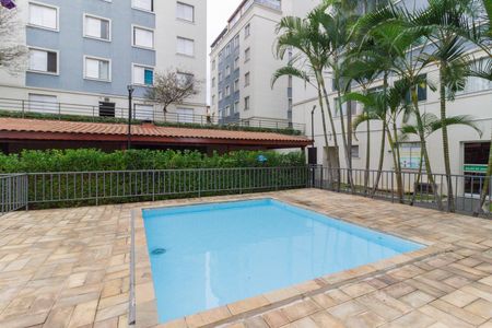 Área comum - Piscina de apartamento para alugar com 3 quartos, 49m² em Vila Miriam, São Paulo