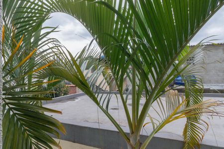 Apartamento para alugar com 49m², 3 quartos e 1 vaga Apartamento para alugar com 49m², 3 quartos e 1 vagaVista Quarto 3