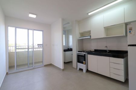 Apartamento para alugar com 2 quartos, 48m² em Notre Dame, Campinas
