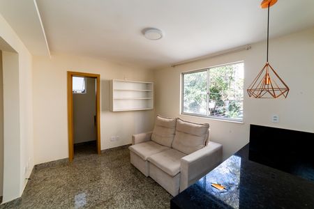 Sala de apartamento para alugar com 2 quartos, 55m² em Serra, Belo Horizonte