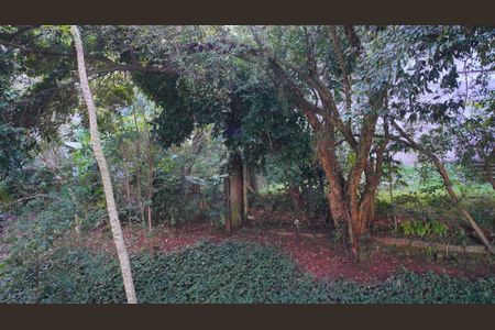 Vista do Quarto de apartamento para alugar com 1 quarto, 36m² em Petrópolis, Porto Alegre