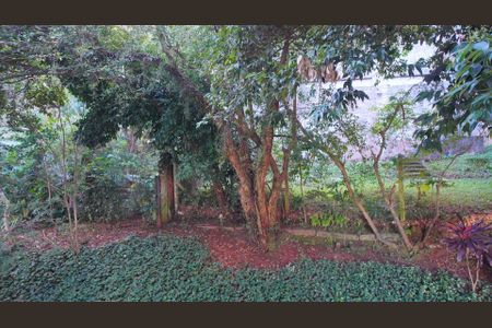 Vista da sala  de apartamento para alugar com 1 quarto, 36m² em Petrópolis, Porto Alegre