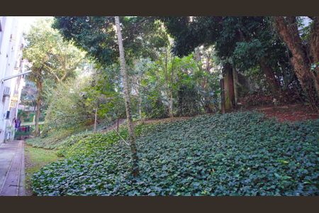 Área comum de apartamento para alugar com 1 quarto, 36m² em Petrópolis, Porto Alegre
