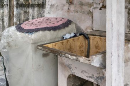 Área de Serviço de casa de condomínio para alugar com 0 quarto, 32m² em Vila Tupi, Praia Grande