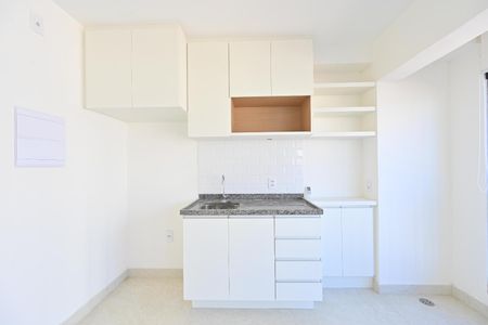 Cozinha de apartamento para alugar com 1 quarto, 24m² em Vila da Saúde, São Paulo