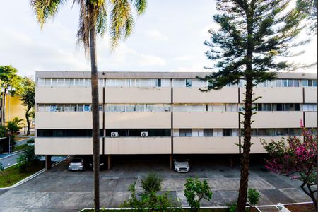 Apartamento para alugar com 68m², 3 quartos e 1 vagaVista do Quarto 3