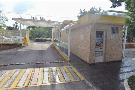 Apartamento para alugar com 68m², 3 quartos e 1 vaga Apartamento para alugar com 68m², 3 quartos e 1 vagaEntrada Social