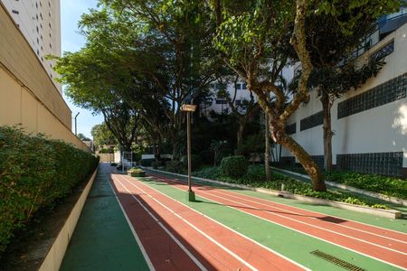 Apartamento à venda com 590m², 3 quartos e 5 vagasPista Esportiva