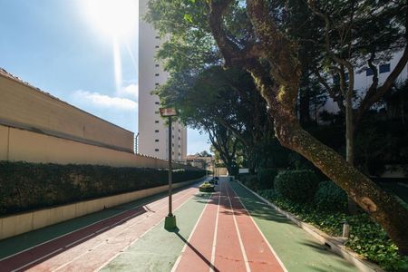 Apartamento à venda com 590m², 3 quartos e 5 vagasPista Esportiva