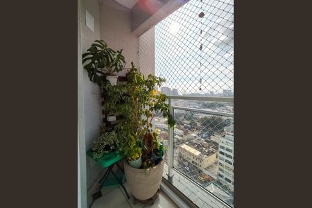 Varanda da Sala de apartamento à venda com 2 quartos, 45m² em Santo Cristo, Rio de Janeiro