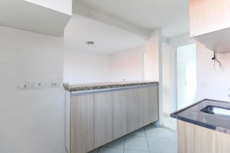 Cozinha  de apartamento para alugar com 2 quartos, 45m² em Vila Chabilandia, São Paulo
