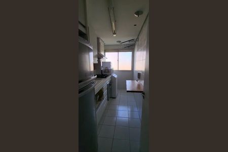 Cozinha de apartamento para alugar com 2 quartos, 48m² em Sacomã, São Paulo