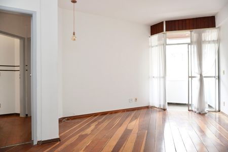 Sala  de apartamento à venda com 2 quartos, 85m² em Santo Antônio, Belo Horizonte