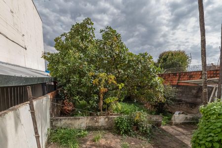 Quintal de casa para alugar com 3 quartos, 60m² em Vila Real, Hortolândia