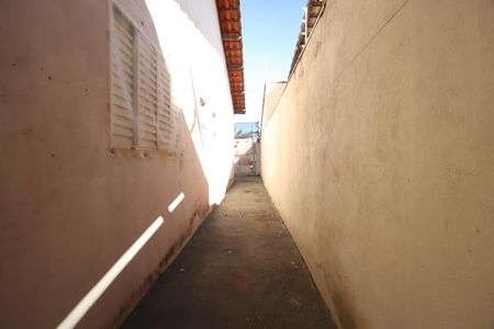 Corredor de casa para alugar com 3 quartos, 200m² em Jardim das Palmeiras, Uberlândia