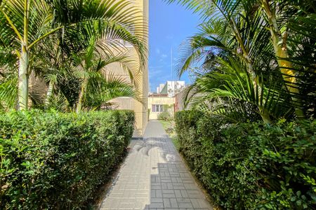 Apartamento para alugar com 33m², 1 quarto e sem vagaÁrea comum