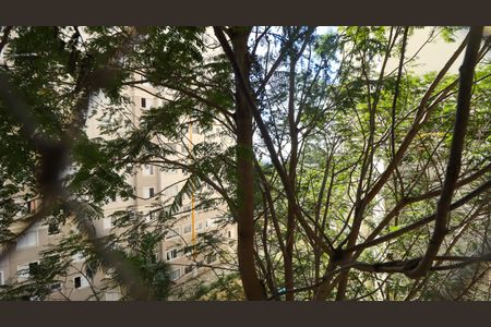 Vista Suíte de apartamento para alugar com 3 quartos, 68m² em Parque Reboucas, São Paulo