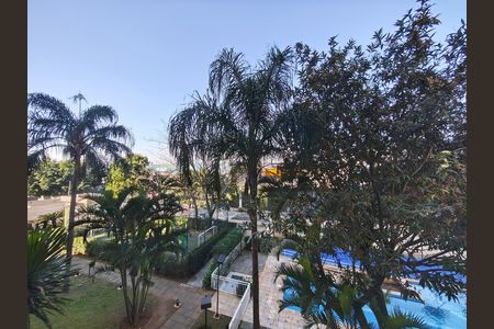 Vista  de apartamento para alugar com 3 quartos, 62m² em Vila Guilherme, São Paulo