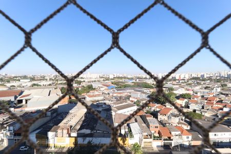 Apartamento à venda com 3 quartos, 77m² em Parque Novo Mundo, São Paulo