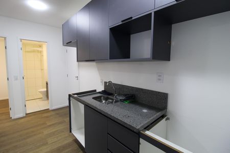 Cozinha de apartamento para alugar com 2 quartos, 39m² em Vila Sonia, São Paulo