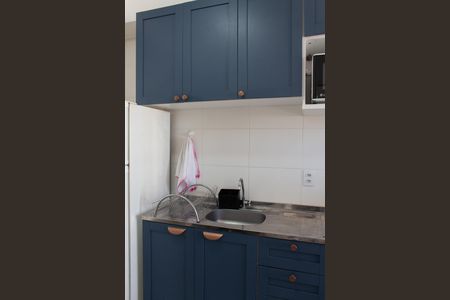 Cozinha de apartamento para alugar com 1 quarto, 28m² em Vila das Belezas, São Paulo