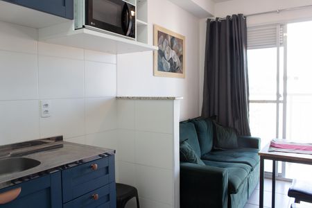Apartamento para alugar com 1 quarto, 28m² em Vila das Belezas, São Paulo
