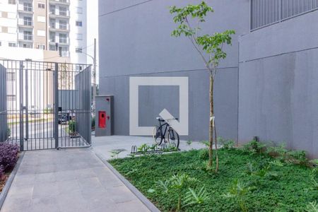 Bicicletario de apartamento para alugar com 1 quarto, 30m² em Vila Albertina, São Paulo