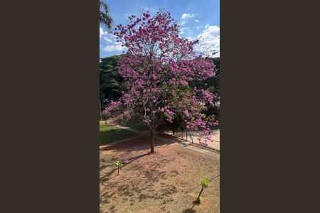 Vista de apartamento à venda com 3 quartos, 163m² em SQS 207, Brasília