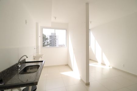 Cozinha de apartamento para alugar com 2 quartos, 47m² em Jardim Holanda, Uberlândia