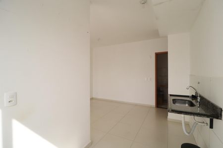 Cozinha de apartamento para alugar com 2 quartos, 47m² em Jardim Holanda, Uberlândia