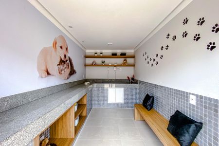 Área comum de apartamento para alugar com 1 quarto, 30m² em Belenzinho, São Paulo