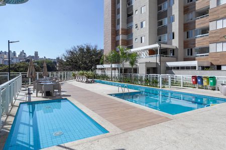 Área comum - Piscina de apartamento para alugar com 2 quartos, 60m² em Nova Suíça, Belo Horizonte