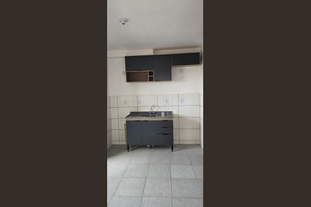 Cozinha de apartamento para alugar com 2 quartos, 52m² em Laranjeiras, Uberlândia