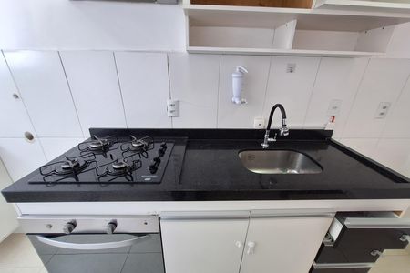 Cozinha de apartamento para alugar com 2 quartos, 43m² em Vila Homero Thon, Santo André