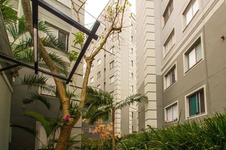 Área comum de casa de condomínio à venda com 2 quartos, 49m² em Jardim Lallo, São Paulo