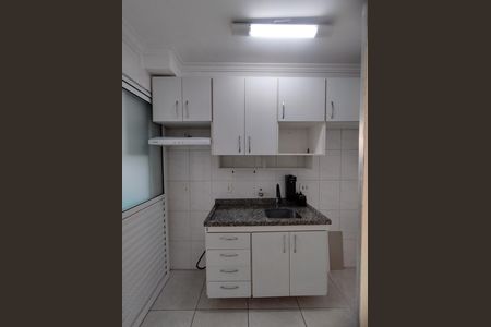 Cozinha - Torneira de apartamento para alugar com 2 quartos, 48m² em Jardim Maria Estela, São Paulo