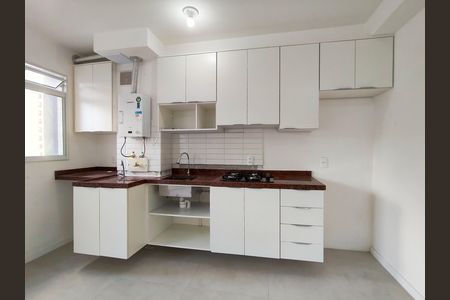 Cozinha de apartamento para alugar com 2 quartos, 46m² em Santo Cristo, Rio de Janeiro
