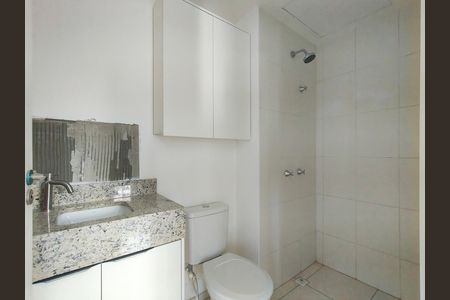 Banheiro de apartamento para alugar com 2 quartos, 46m² em Santo Cristo, Rio de Janeiro