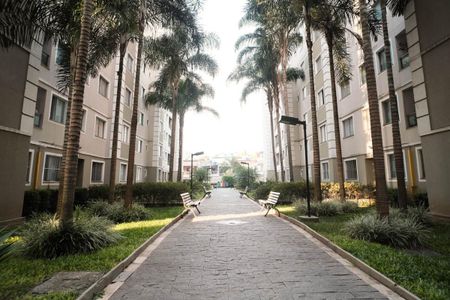 Área comum de apartamento para alugar com 2 quartos, 41m² em Jardim Santa Teresinha, São Paulo